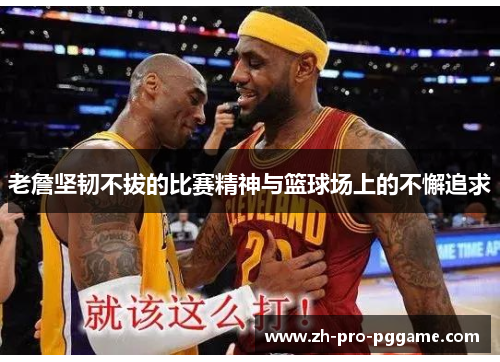 老詹坚韧不拔的比赛精神与篮球场上的不懈追求