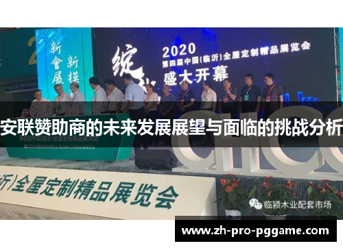 安联赞助商的未来发展展望与面临的挑战分析